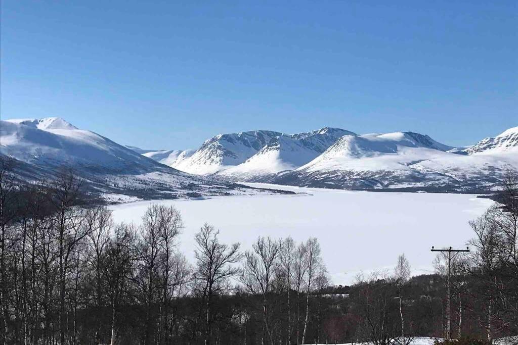 Fjellro Mountain Cabin أوبدال المظهر الخارجي الصورة