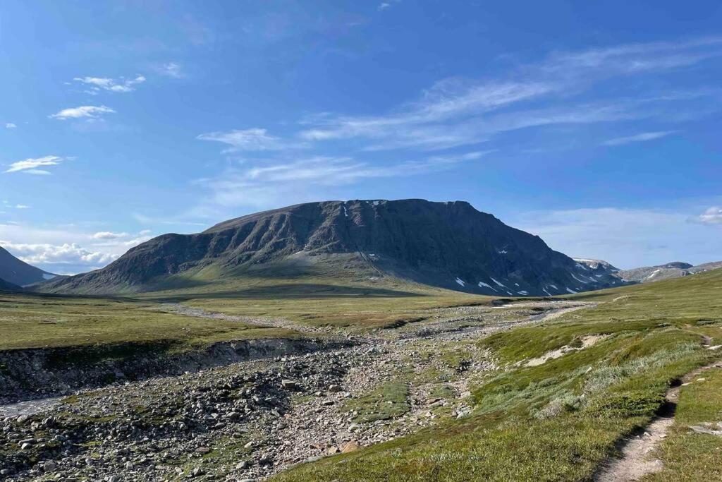Fjellro Mountain Cabin أوبدال المظهر الخارجي الصورة