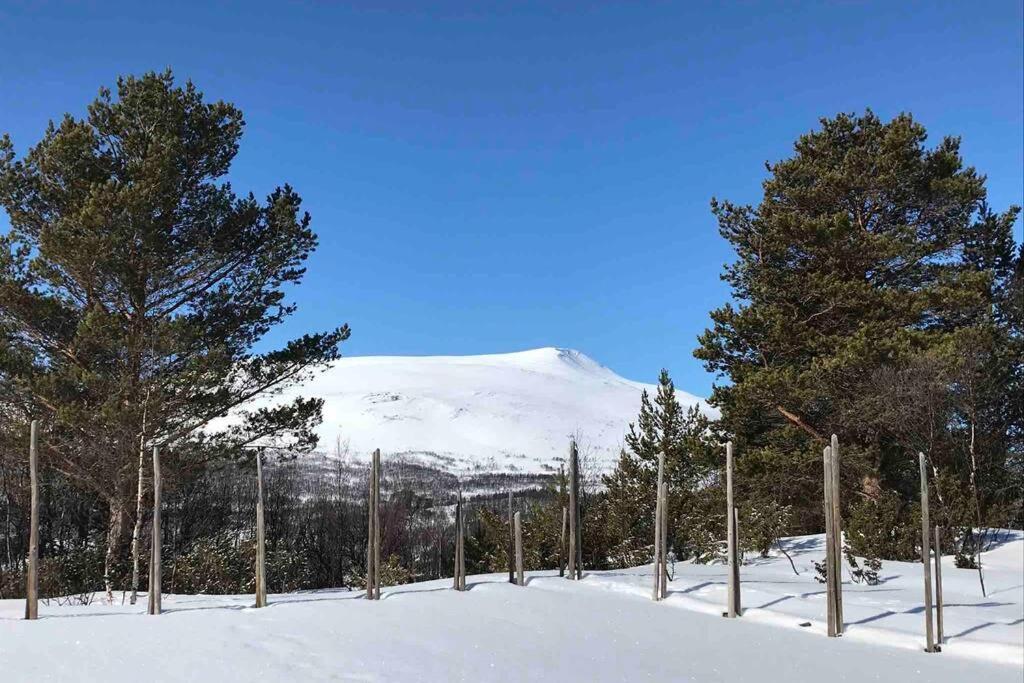 Fjellro Mountain Cabin أوبدال المظهر الخارجي الصورة