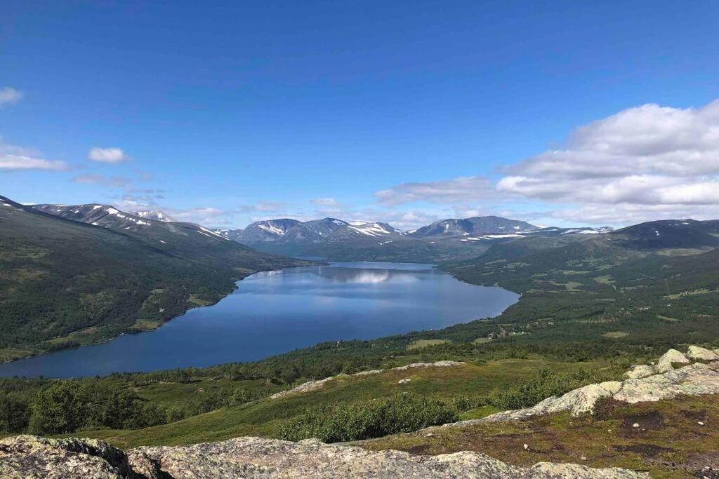 Fjellro Mountain Cabin أوبدال المظهر الخارجي الصورة