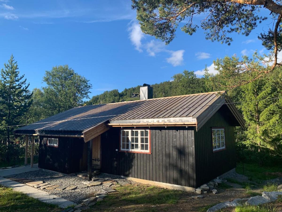 Fjellro Mountain Cabin أوبدال المظهر الخارجي الصورة